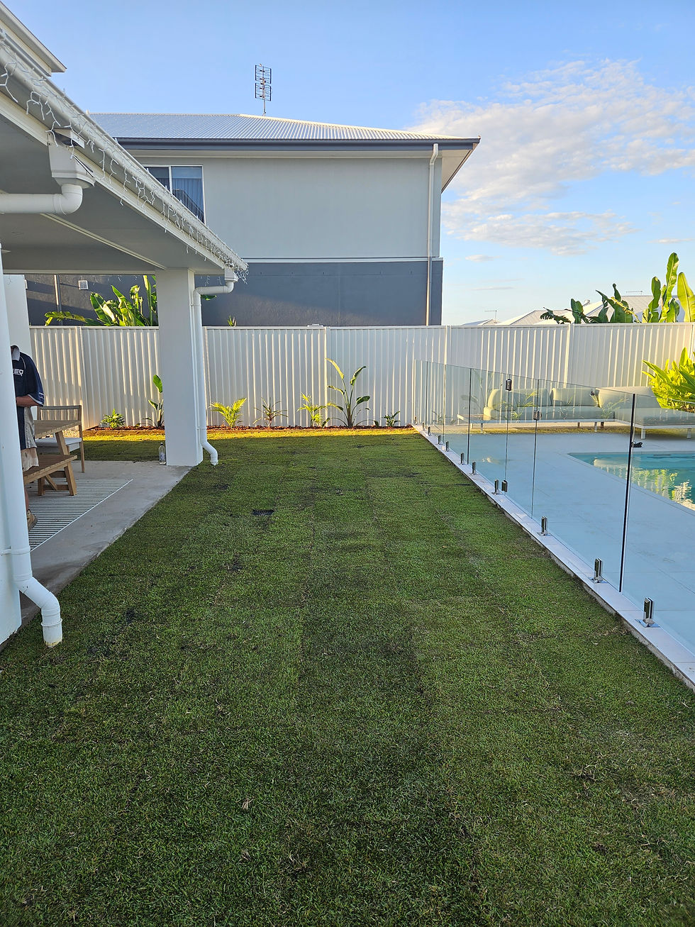 Sunshine Coast turfing