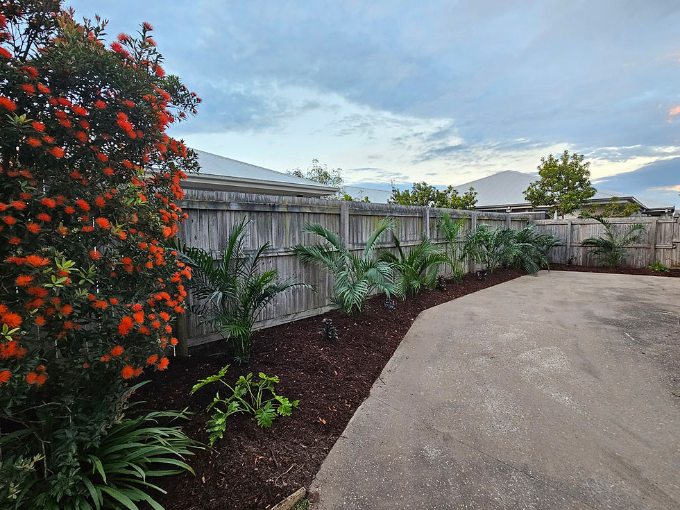 Garden cleanup Sunshine Coast