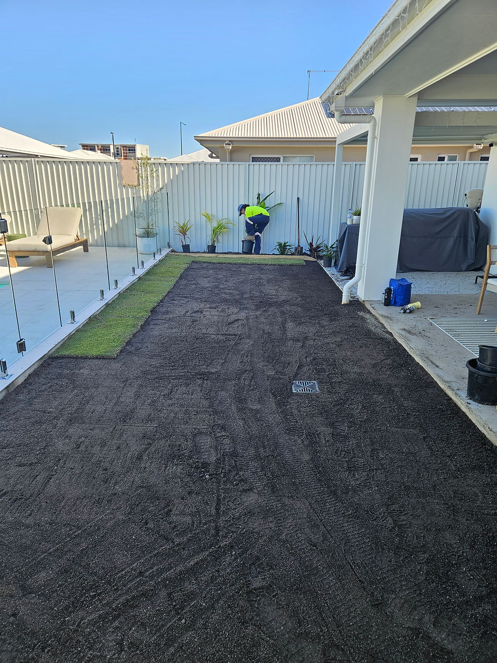 laying turf sunshine coast