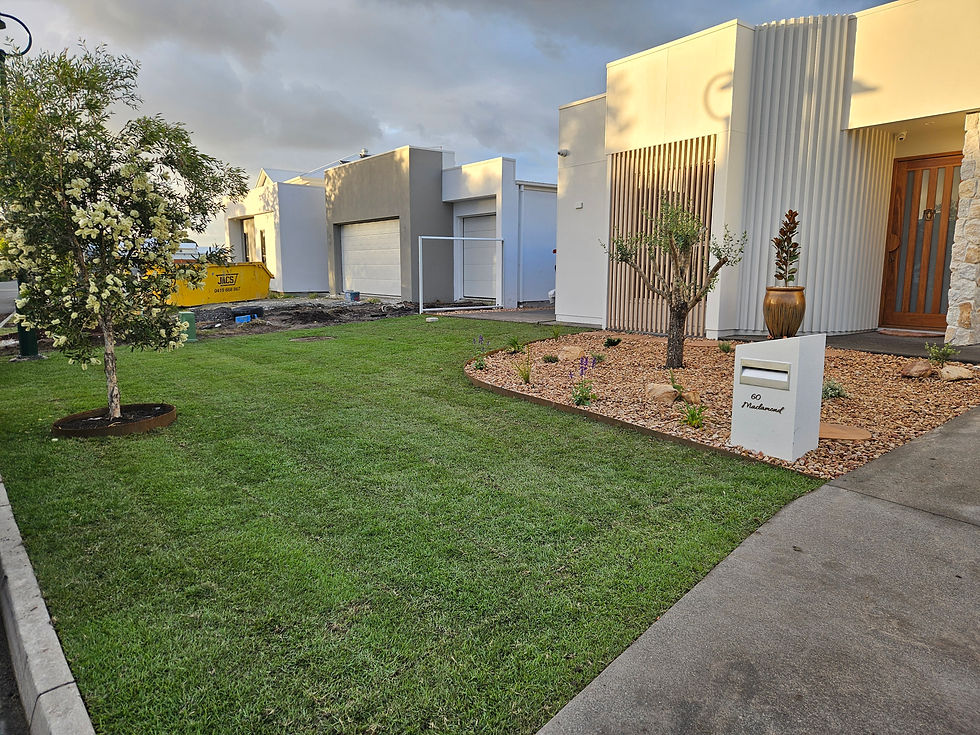 Garden makeover Sunshine Coast