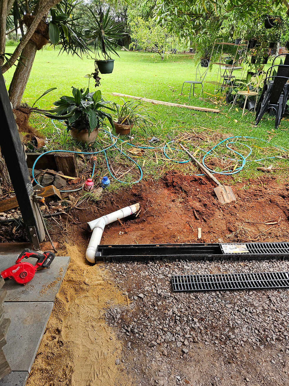 garden bond clean sunshine coast