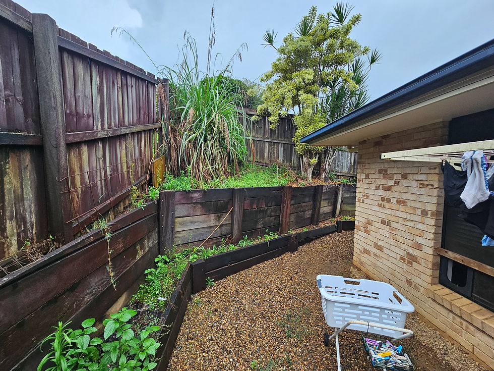 Tidy garden Sunshine Coast