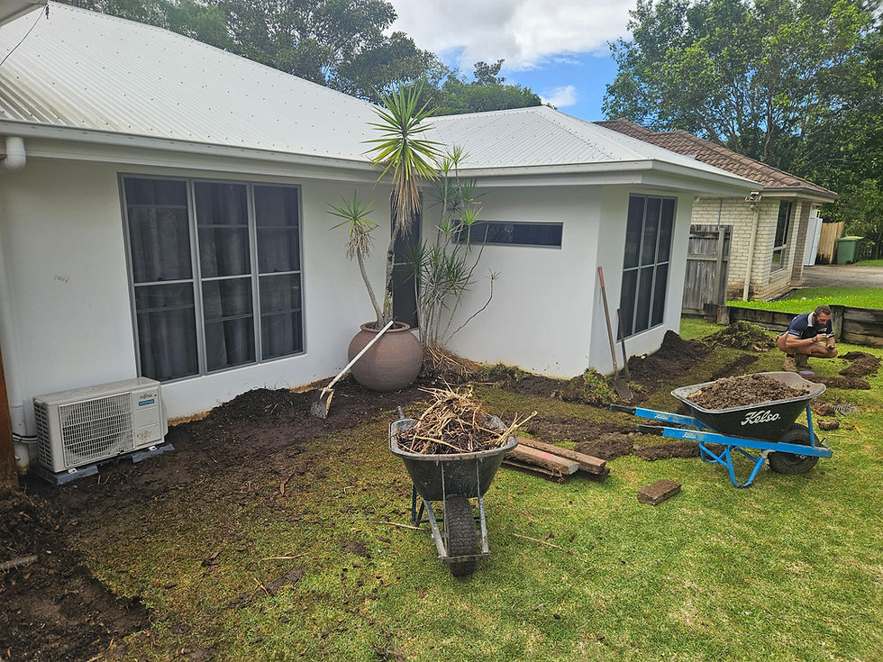 garden cleanup sunshine coast