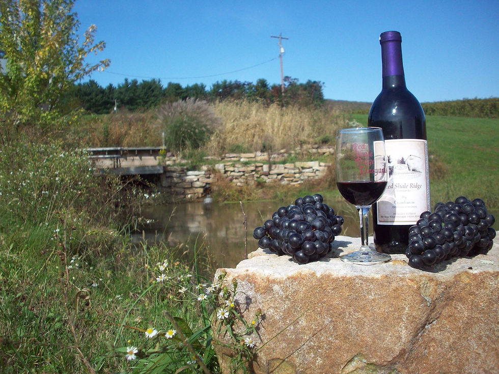winery 1