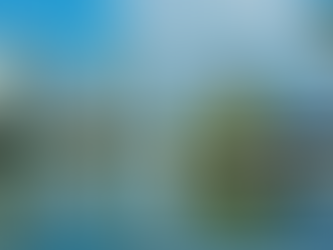 Top 12 Things to Do at Beira Lake in Colombo, Sri Lanka