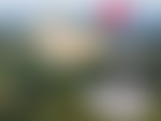 Vietnam in Summer 2025: A Complete Guide to Lung Cu Flag Tower and Beyond