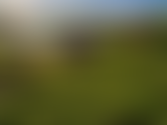 🌏 Mae Hong Son & Krabi, Thailand: Offbeat Mountains to Beachside Flavors