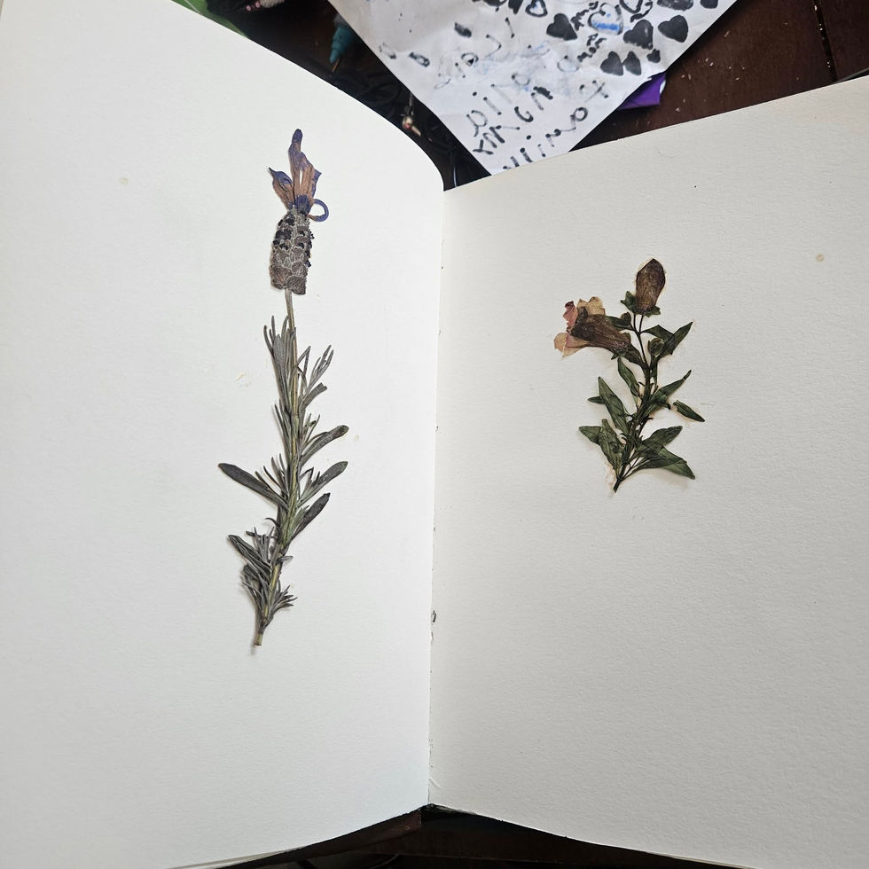 plants