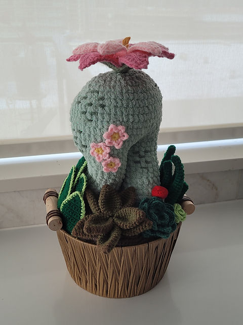 CactAss Crochet Cactus Plant Decoration Centerpiece | Shauna Lynn Designs
