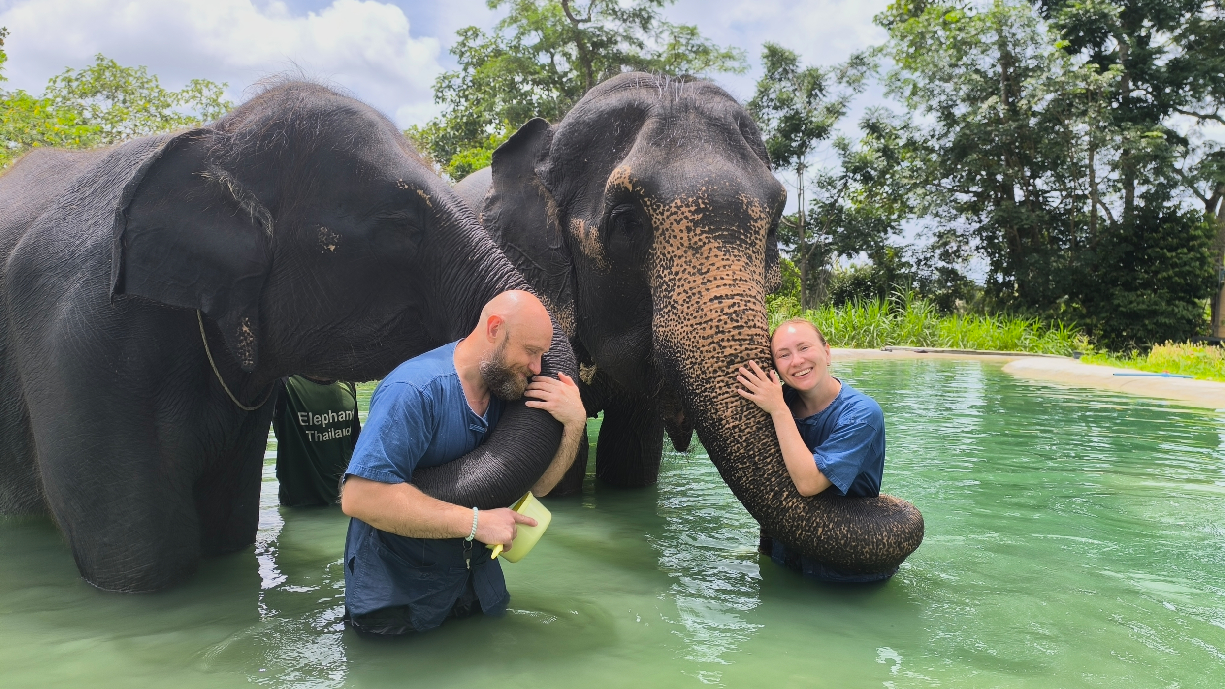 People connecting with an elephant.