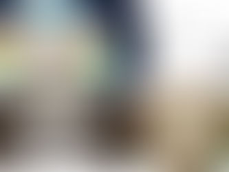 有关潮汐树的传说 01