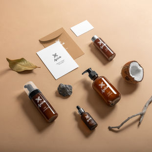 vision da vinci graphic design, web design and 3D modelling