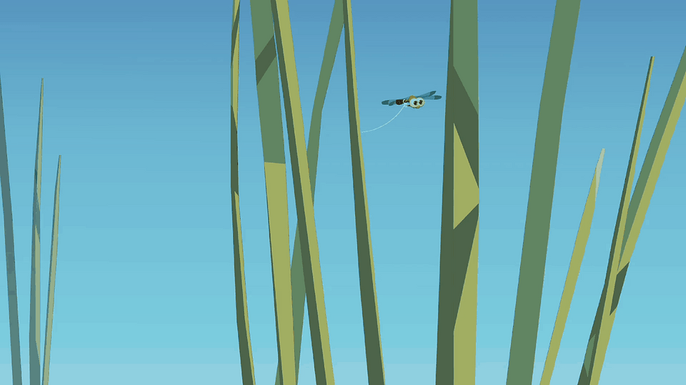 Animation16.gif