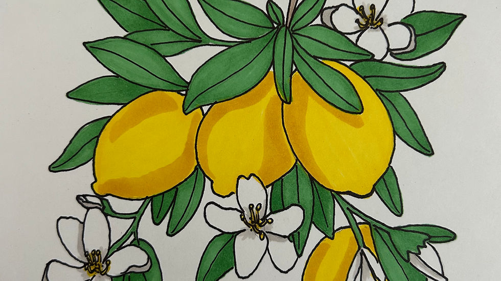 Branch of lemons and lemons flowers