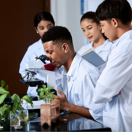 Pesquisador ensinando alunos sobre plantas