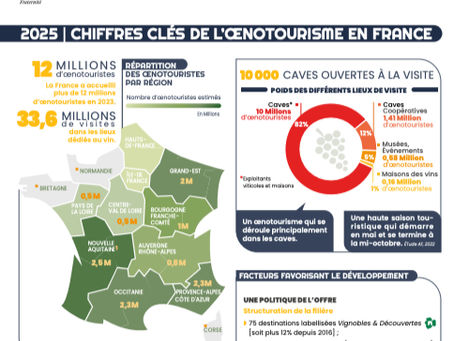 L’œnotourisme en France en pleine croissance : 12 millions de visiteurs en 2023
