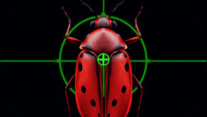 Bug Bounty: Harnessing the Ethical Hacking Community for Cybersecurity Strength