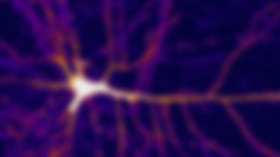 Neuron_2880x1220_Lede_HPA_edited_edited.