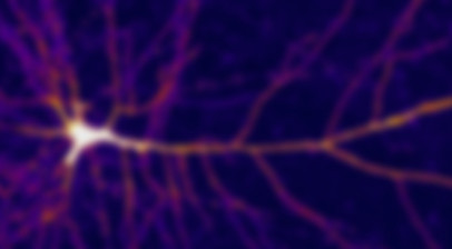 Neuron_2880x1220_Lede_HPA_edited_edited.jpg