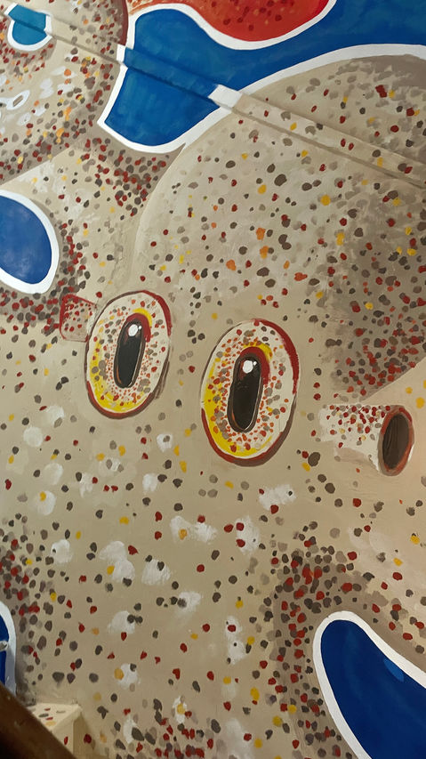 Octupus mediterraneo