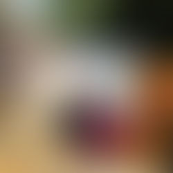 Founders of Estudio Creativo in traditional Catrina makeup with members of the Los Cabos Business Association at the 2025 Mar de Ofrendas festival in downtown Cabo San Lucas.