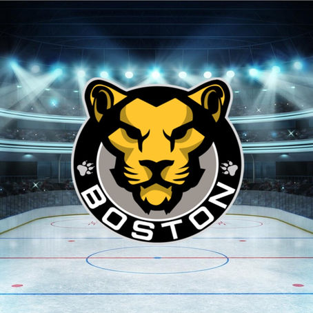 Boston Pride defeat Metropolitan Riveters 5-3