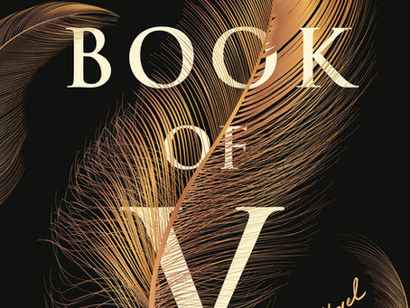 Anna Solomon's THE BOOK OF V - Stunning and Thought Provoking