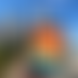 Steven Rowley's THE CELEBRANTS - How to Celebrate and Accept What We Have