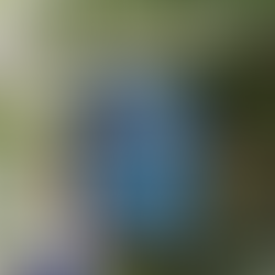 B.B. Alston's AMARI AND THE NIGHT BROTHERS - A Thrilling, Magical Middle Grade Read