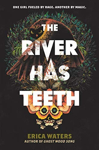 Book cover of The River Has Teeth by Erica Waters