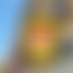 Julie Tieu's THE DONUT TRAP - A Sweet Romance Full of Heart