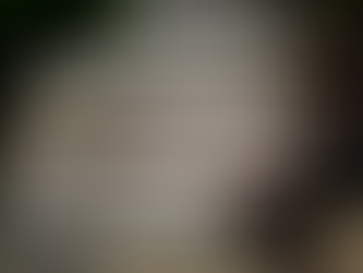 2026 Reading Challenge: Exploring Books From the Year I Was Born