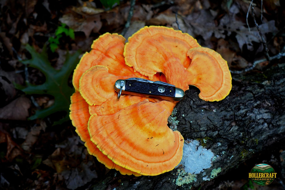 chicken knife