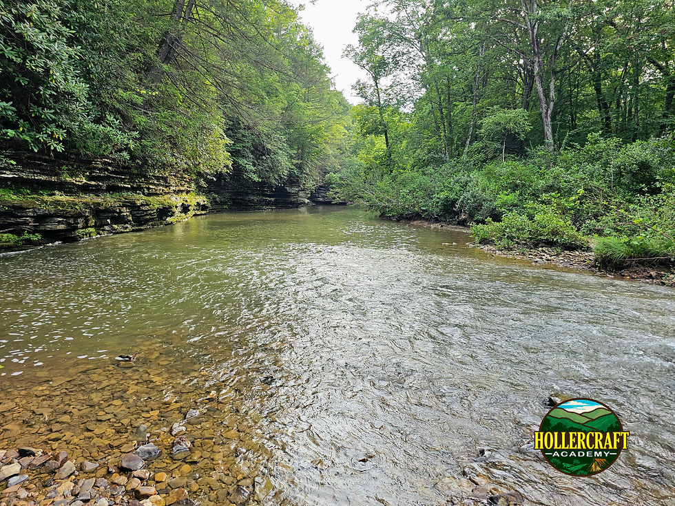 Beautiful steeam, an ideal camping location