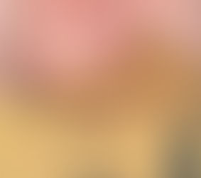 “L’odore delle Rose” II Ed -Didascalia-