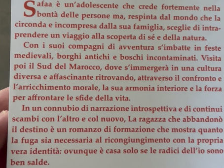 In attesa del prossimo capitolo della Ragazza che abbandonò il Destino … sono arrivati i libri per il 2025