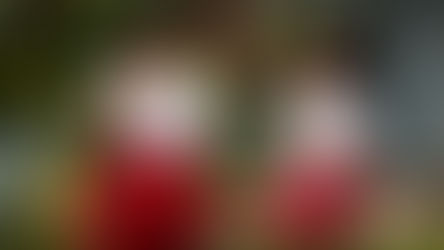 Kompilasi Petak Umpet: Mari Bermain Petak Umpet!