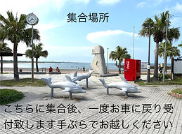 IMG_8331.jpeg