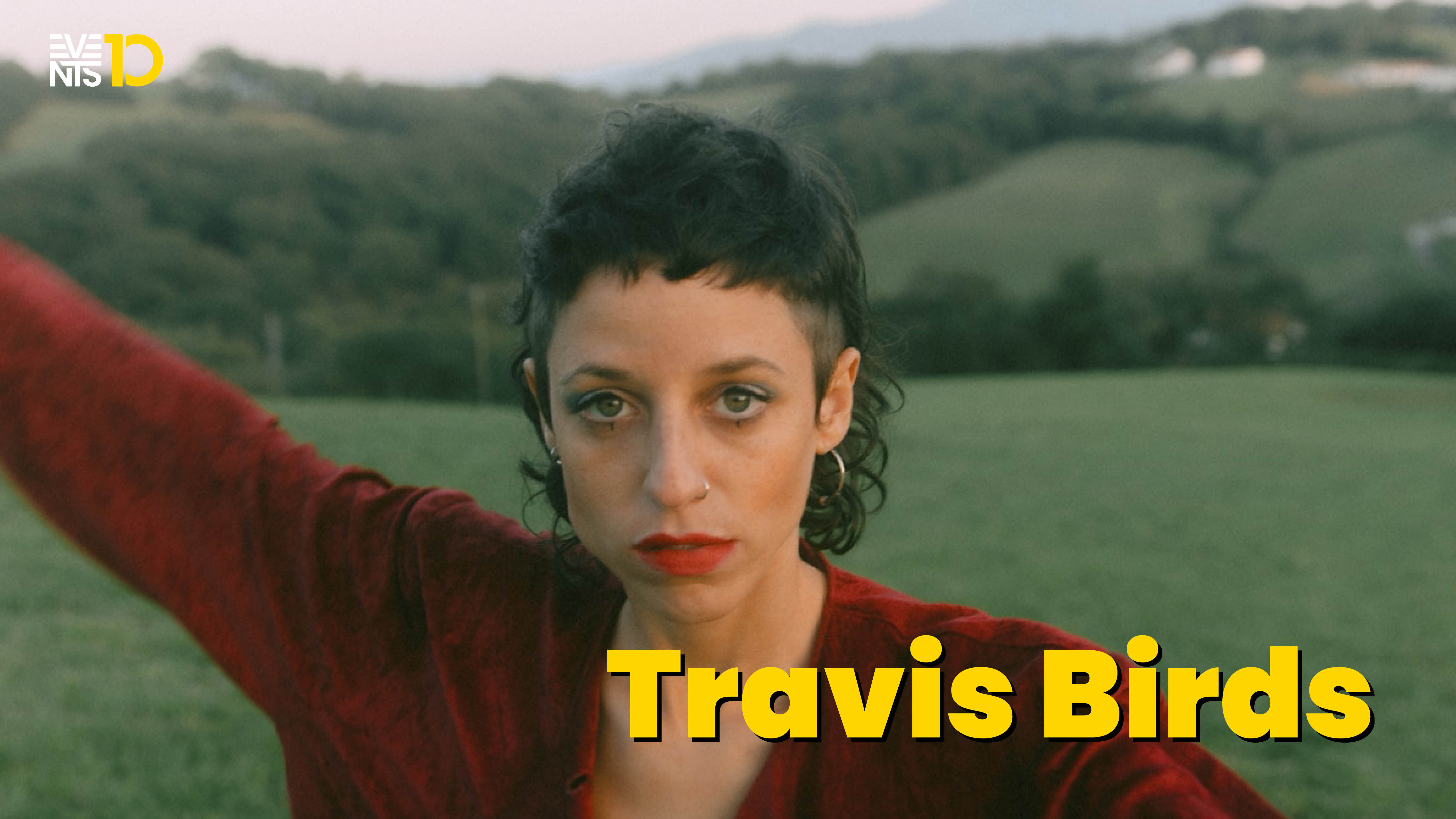 TRAVIS BIRDS