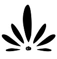 clases de yoga en coruña flor de tila simbolo