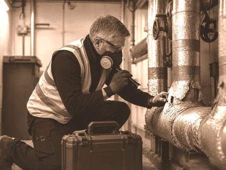 Why Choose Pagen Group for Your Asbestos Consultancy?