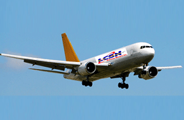 DOMESTIC AIR FREIGHT