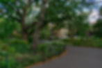 Empty Path at Fort Greene Park in Brooklyn New York with Homes in the Background.jpg
