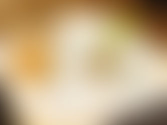 梅酒+レアチーズケーキ