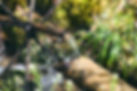 0414_0027.jpg