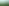 DJI_0991.jpg