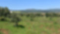 icm_fullxfull_edited.jpg
