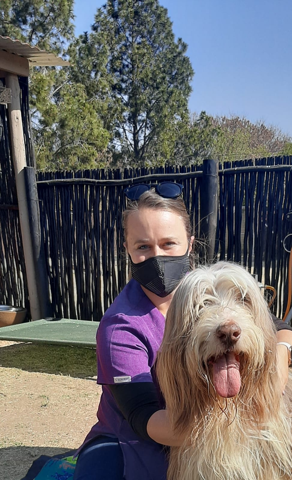 Shaggy Chic ; Courteney Meyer ; Dog Park ; Kennel ; Boarding ; Day Care ; Veterinary Physiotherapist ; Dog Walk ; Canine Massage