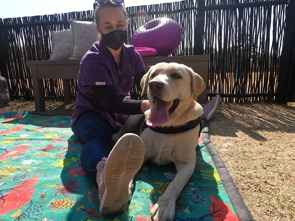 Shaggy Chic ; Courteney Meyer ; Dog Park ; Kennel ; Boarding ; Day Care ; Veterinary Physiotherapist ; Dog Walk ; Canine Massage