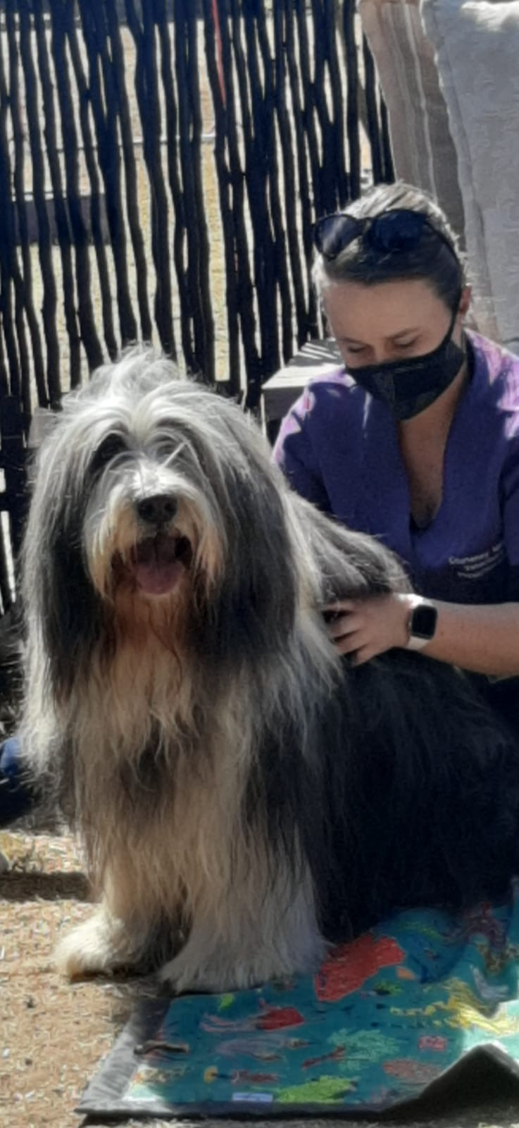 Shaggy Chic ; Courteney Meyer ; Dog Park ; Kennel ; Boarding ; Day Care ; Veterinary Physiotherapist ; Dog Walk ; Canine Massage